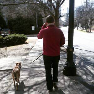 Richmond Dog Trainer