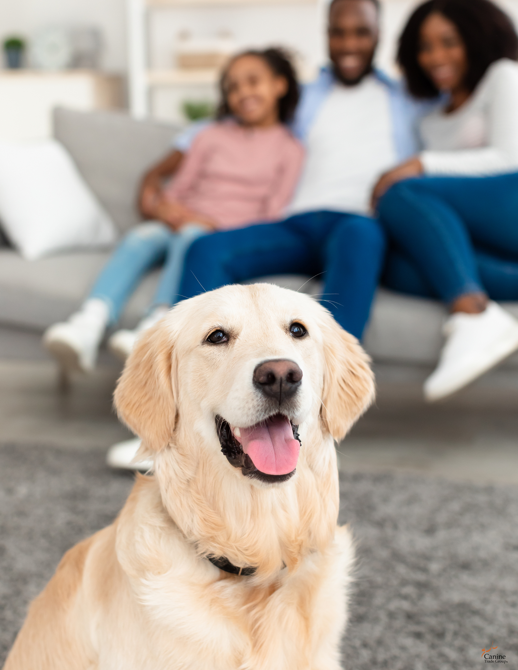 infants and dogs infants and dogs